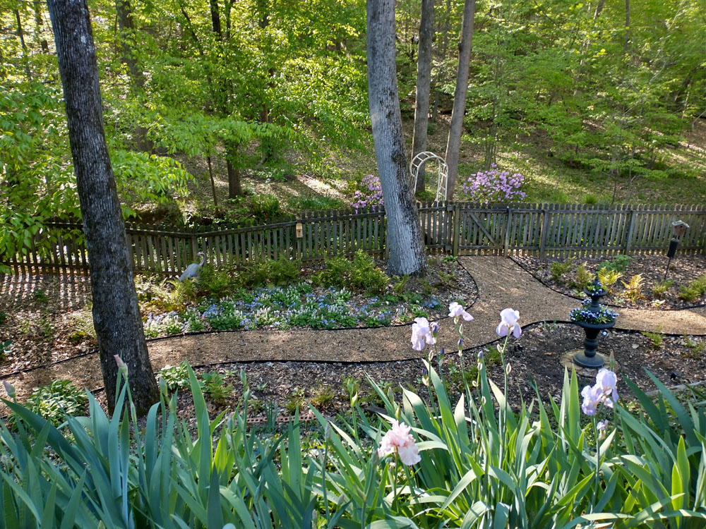 IMG_20230410_174127923_HDR