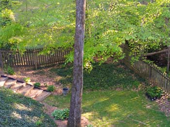 IMG_20210415_183458026