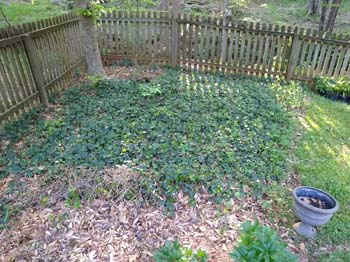 IMG_20210415_183804390