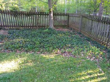IMG_20210415_183923921