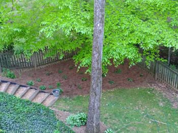 IMG_20210418_191011517
