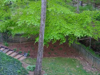 IMG_20210418_191020522