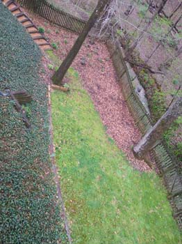 IMG_20220405_172809868