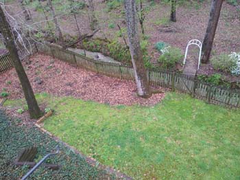 IMG_20220405_172819485