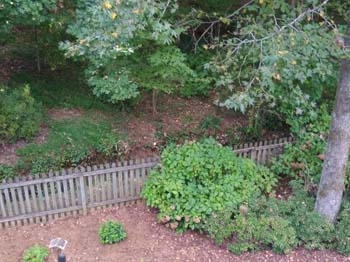 IMG_20220917_165230286