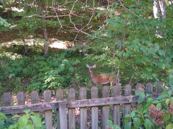 IMG_20220924_141855948