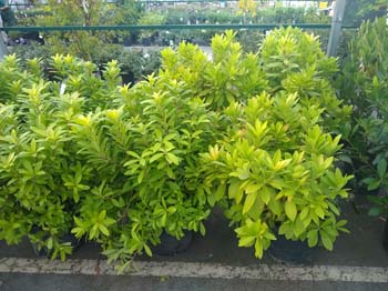 IMG_20221028_165600820