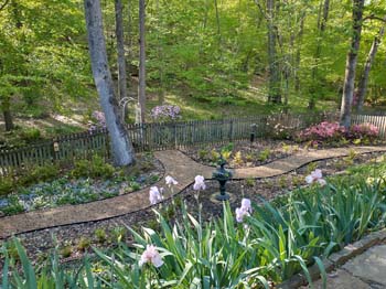 IMG_20230410_174113311_HDR