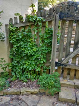 IMG_20230410_174144395_HDR