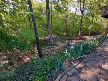 IMG_20230410_174206687_HDR