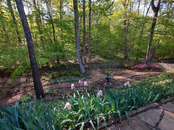IMG_20230410_174226537_HDR