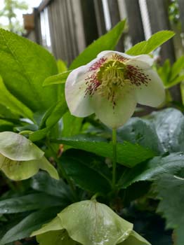 IMG_20230414_105627422_HDR