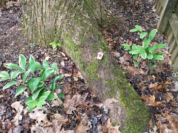 IMG_20230414_105843755
