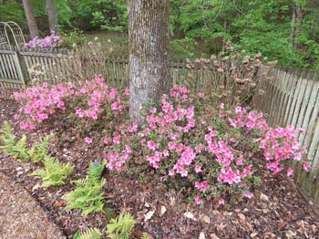 IMG_20230414_105949793