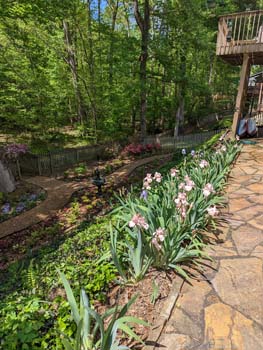 PXL_20230415_182418033