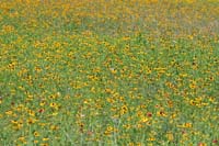 IMG_9086
