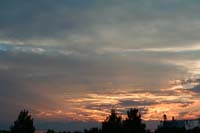 IMG_2246