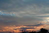 IMG_2252
